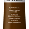 Farba olejna Winton Oil Colour - Winsor & Newton - burnt umber, 200 ml
