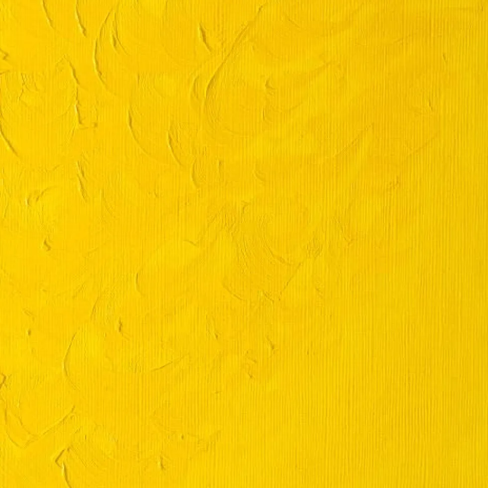 Farba olejna Winton Oil Colour - Winsor & Newton - chrome yellow hue, 200 ml