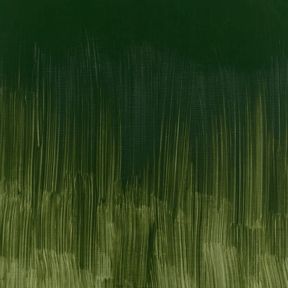 Farba olejna Winton Oil Colour - Winsor & Newton - Dark Verdigris, 37 ml