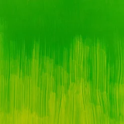 Farba olejna Winton Oil Colour - Winsor & Newton - Phthalo Yellow Green, 200 ml