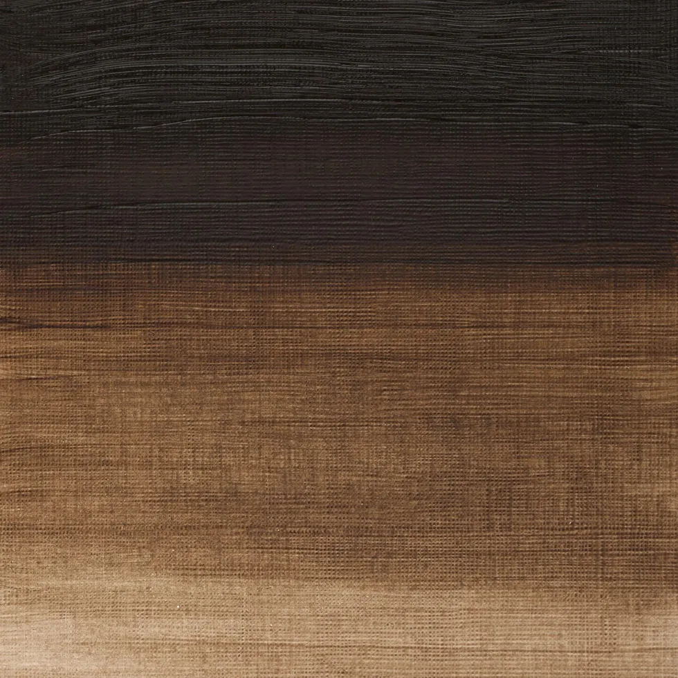 Farba olejna Winton Oil Colour - Winsor & Newton - Raw Umber, 37 ml