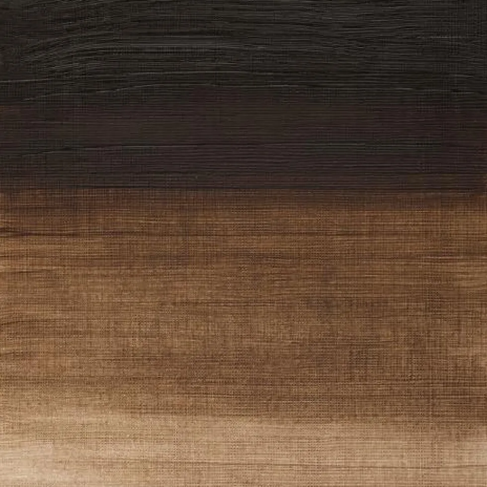 Farba olejna Winton Oil Colour - Winsor & Newton - raw umber, 200 ml