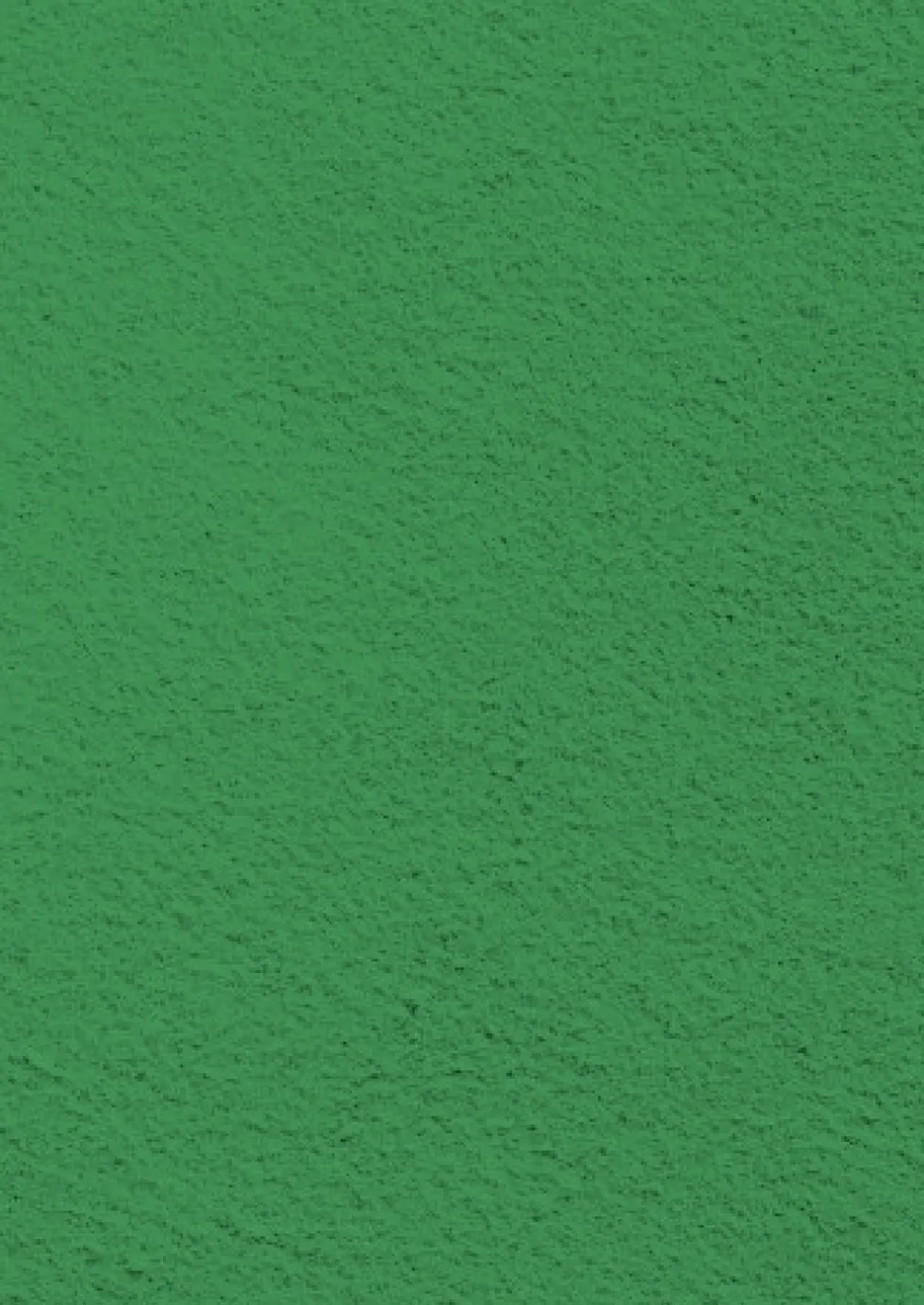 Filc ozdobny - Knorr Prandell - grass green, 20 x 30 cm