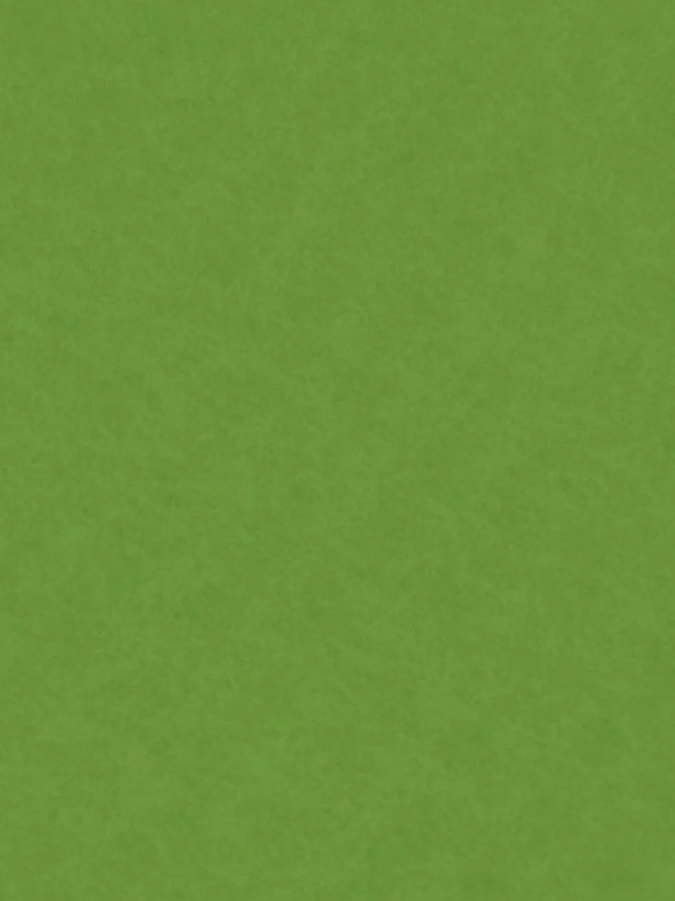 Filc ozdobny - Knorr Prandell - may green, 20 x 30 cm