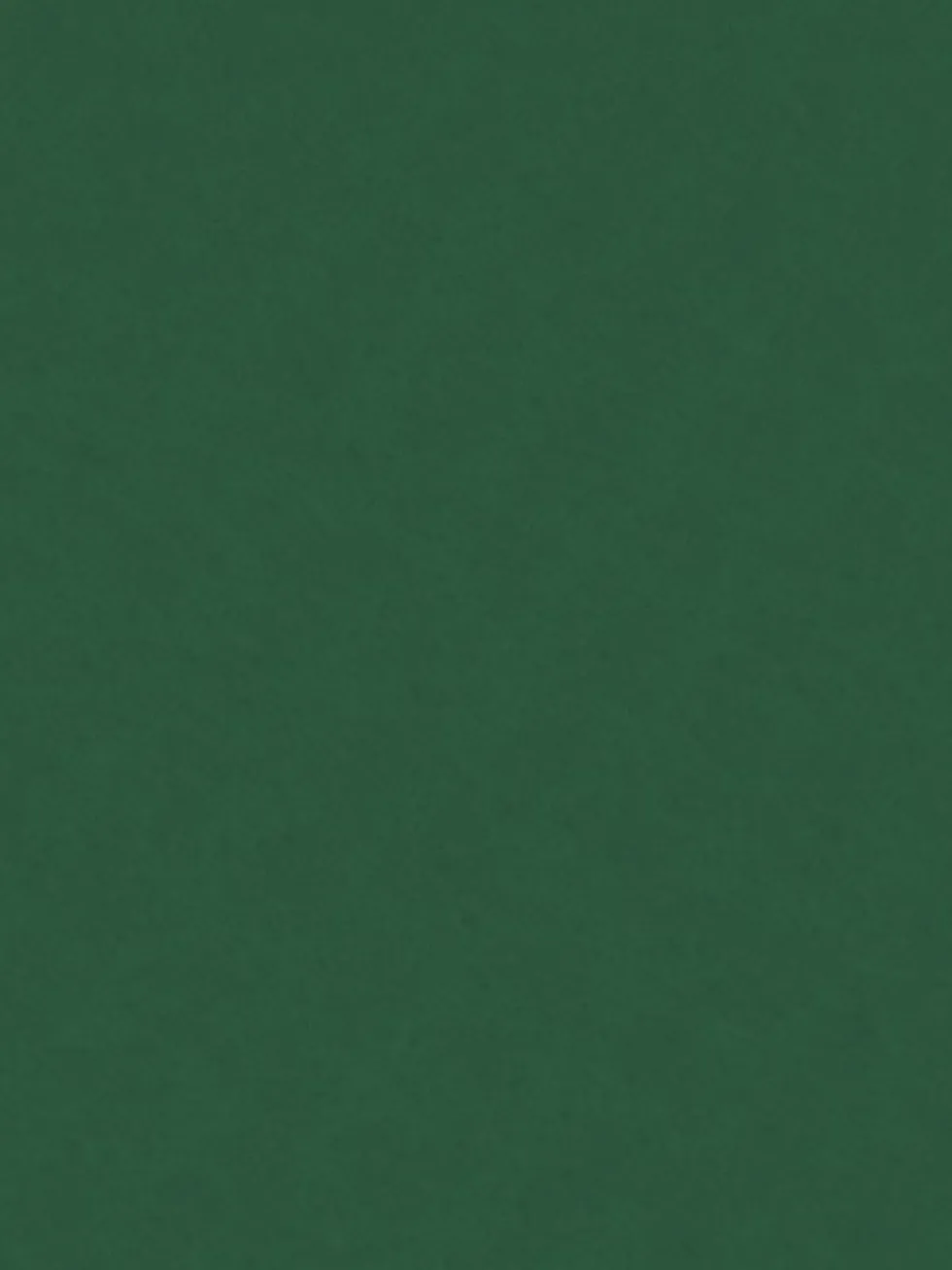 Filc ozdobny - Knorr Prandell - moss green, 20 x 30 cm