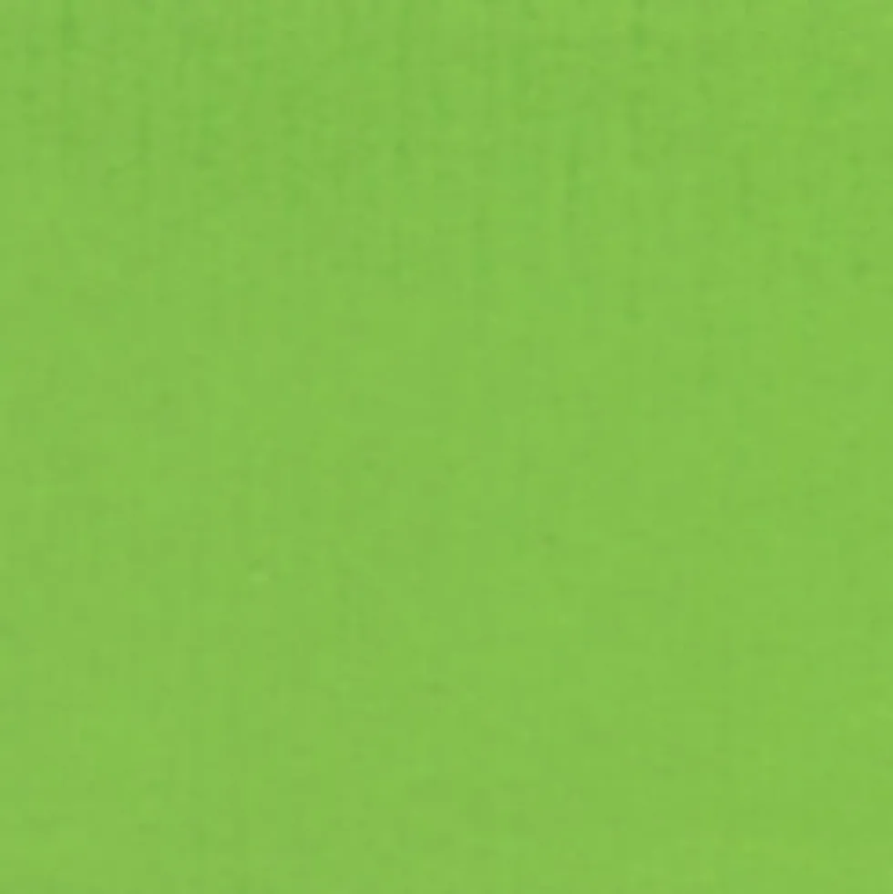 Gwasz Artists’ Gouache - Holbein - Cadmium Green Pale, 15 ml