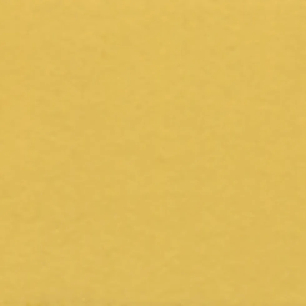 Gwasz Artists’ Gouache - Holbein - Naples Yellow, 15 ml