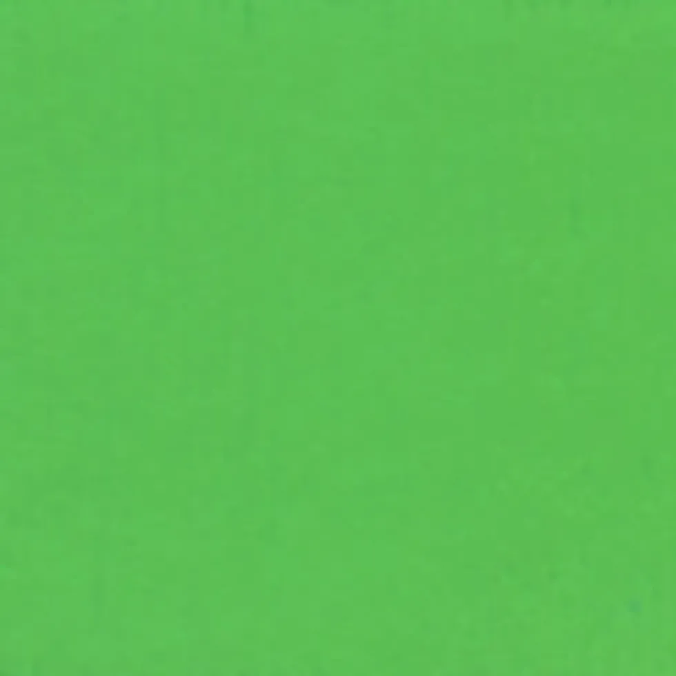 Gwasz Artists’ Gouache - Holbein - Permanent Green Light, 15 ml