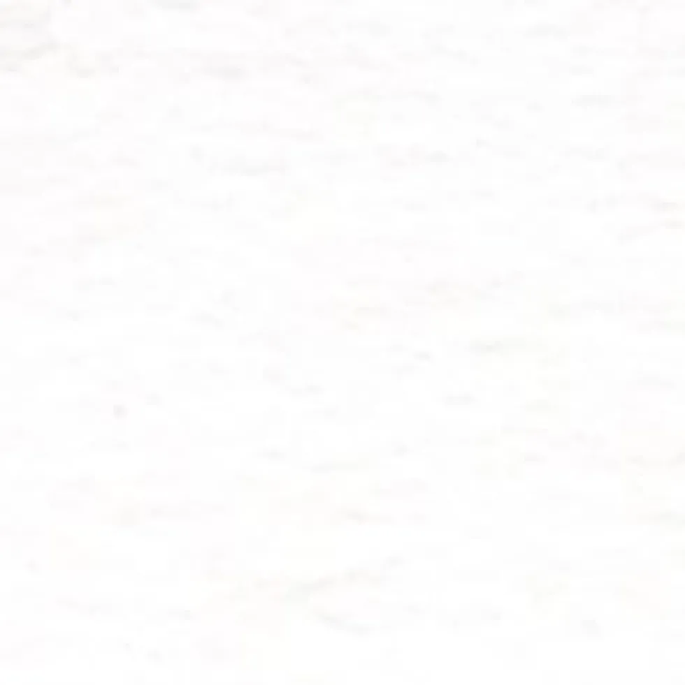 Gwasz Artists’ Gouache - Holbein - Permanent White, 15 ml