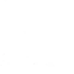 Gwasz Artists’ Gouache - Holbein - Primary White, 15 ml