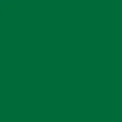 Gwasz Artists’ Gouache Irodori - Holbein - Evergreen, 15 ml