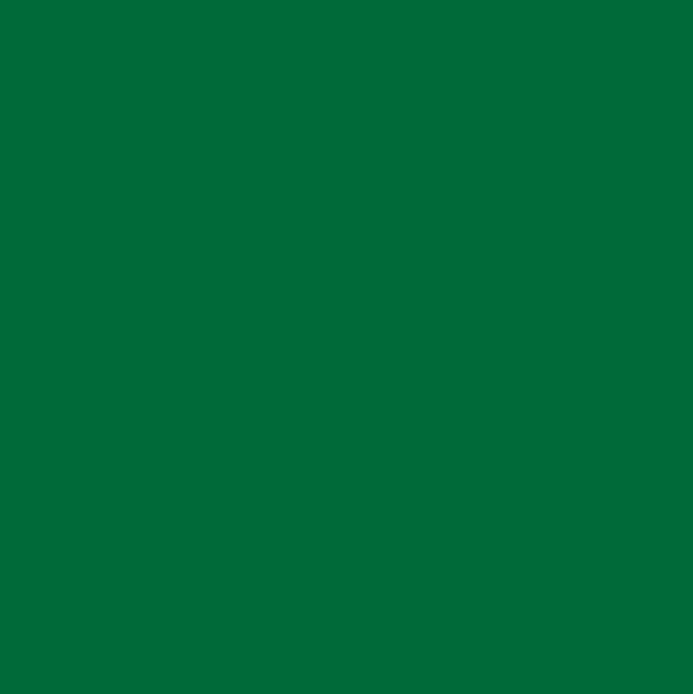 Gwasz Artists’ Gouache Irodori - Holbein - Evergreen, 15 ml