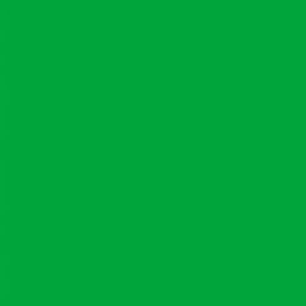 Gwasz Artists’ Gouache Irodori - Holbein - Spring Green, 15 ml