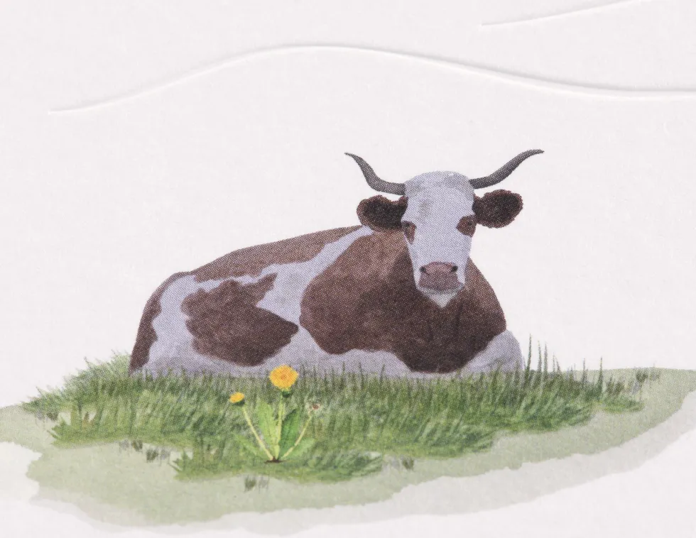 Kartka okolicznościowa A6 - Gmund - Cow Pasture