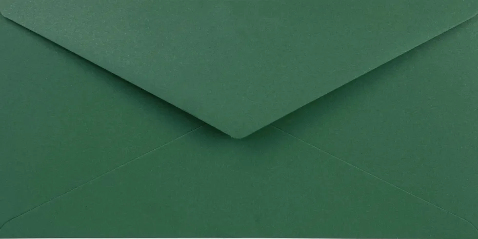 Koperta Sirio Color 140g - DL Foglia zielona