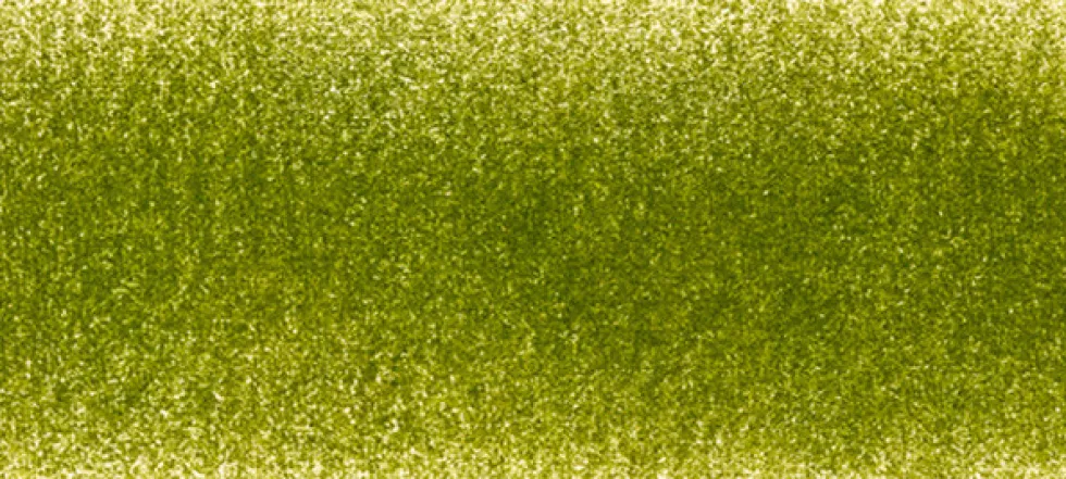Kredka Chromaflow - Derwent - 1700, Foliage