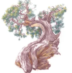 Kredka Drawing - Derwent - 7140 Fossil Grey