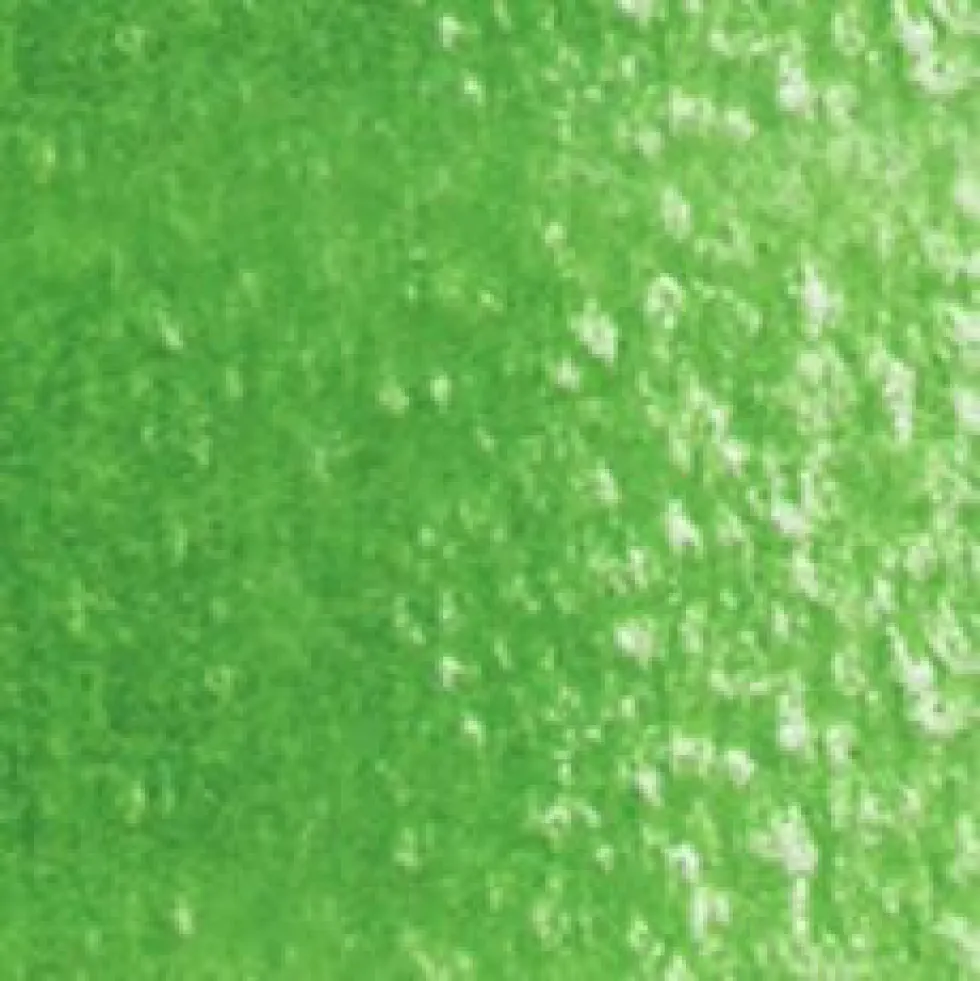 Kredka ołówkowa Artists' - Holbein - 254, Evergreen