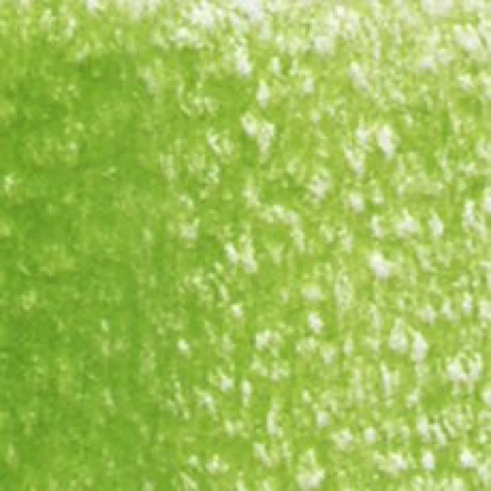 Kredka ołówkowa Artists' - Holbein - 291, Leaf Green