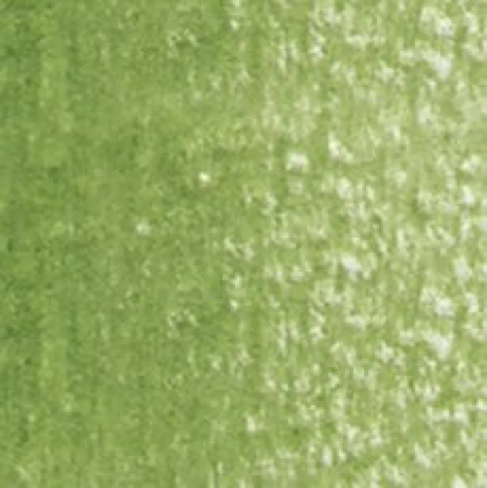 Kredka ołówkowa Artists' - Holbein - 290, Moss Green
