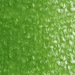 Kredka ołówkowa Artists' - Holbein - 262, Sap Green