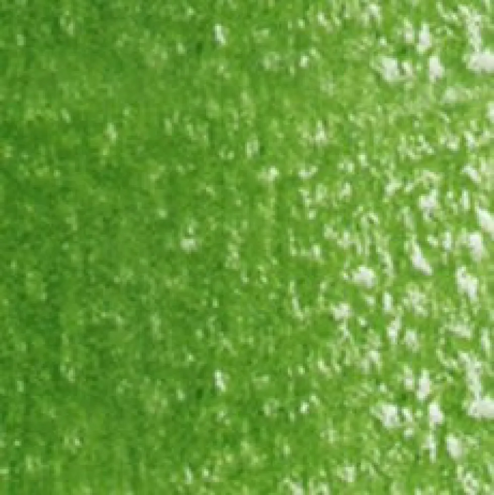 Kredka ołówkowa Artists' - Holbein - 262, Sap Green