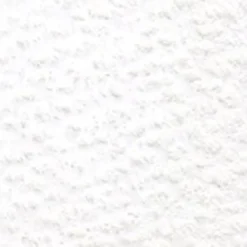 Kredka ołówkowa Artists' - Holbein - 501, Soft White