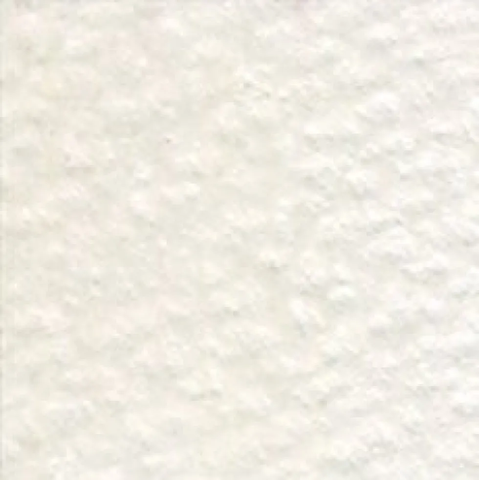 Kredka ołówkowa Artists' - Holbein - 521, Warm Grey no. 1