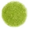 Kredka ołówkowa Irojiten - Tombow - D16, Moss Green