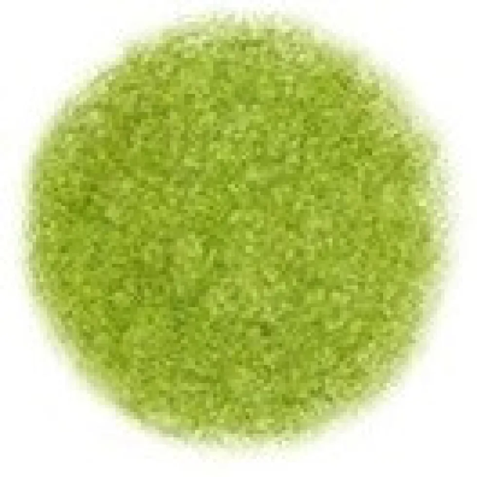Kredka ołówkowa Irojiten - Tombow - D16, Moss Green