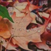Kredka ołówkowa Polycolor - Koh-I-Noor - 207, Burnt Sienna