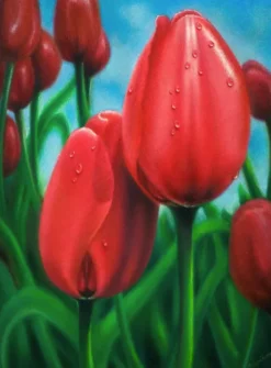 Kredka ołówkowa Polycolor - Koh-I-Noor - 500, Ivory Bone