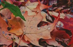Kredka ołówkowa Polycolor - Koh-I-Noor - 554, Portrait Honey