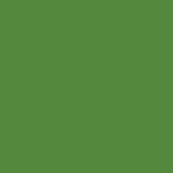 Marker akrylowy - Liquitex - Dark Olive 2 mm