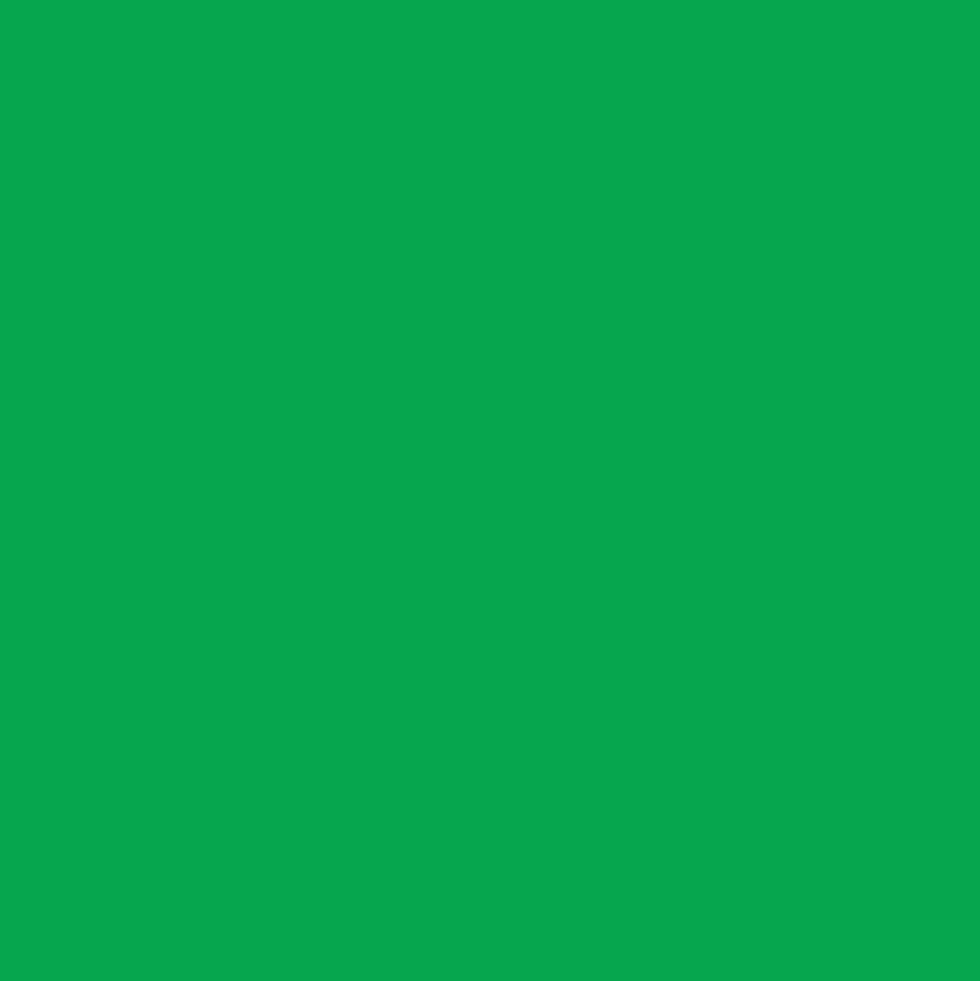 Marker akrylowy - Liquitex - Green 8 mm