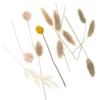 Mini bukiet suszonych kwiatów Beige Touch - DpCraft - 20 cm