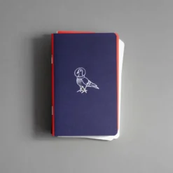 Notes gładki kieszonkowy Astro Gołębica - Papierniczeni - 30 ark.