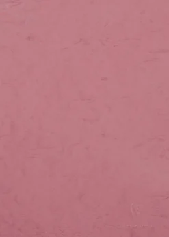 Notes w linie Age Bag A4 - Clairefontaine - Pink 90 g 96 stron