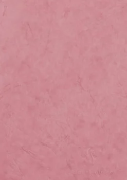 Notes w linie Age Bag A5 - Clairefontaine - Pink 90 g 96 stron