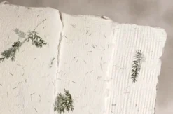 Papier czerpany - Kalander - asparagus, gładki, A4
