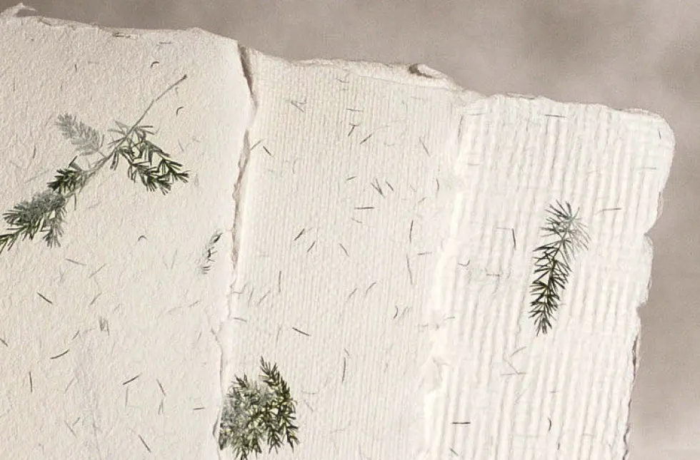 Papier czerpany - Kalander - asparagus, gładki, A4