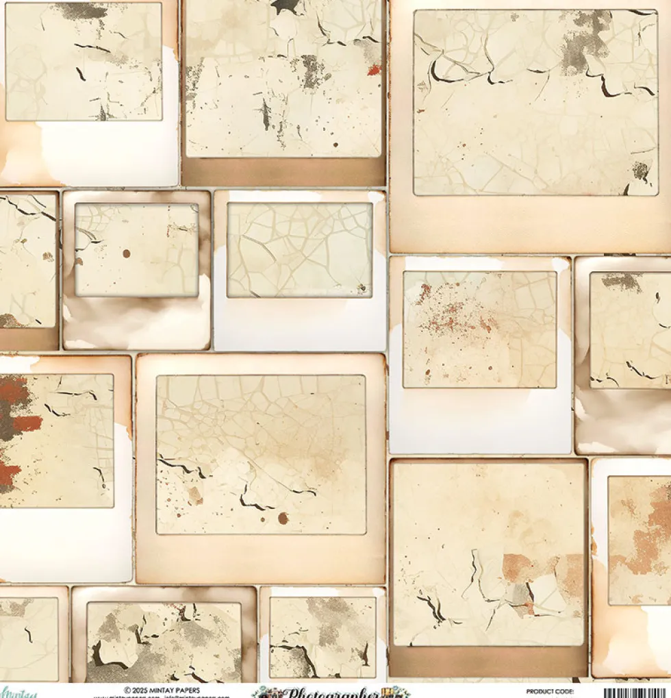 Papier do scrapbookingu 30,5 x 30,5 cm - Mintay - Photographer 02