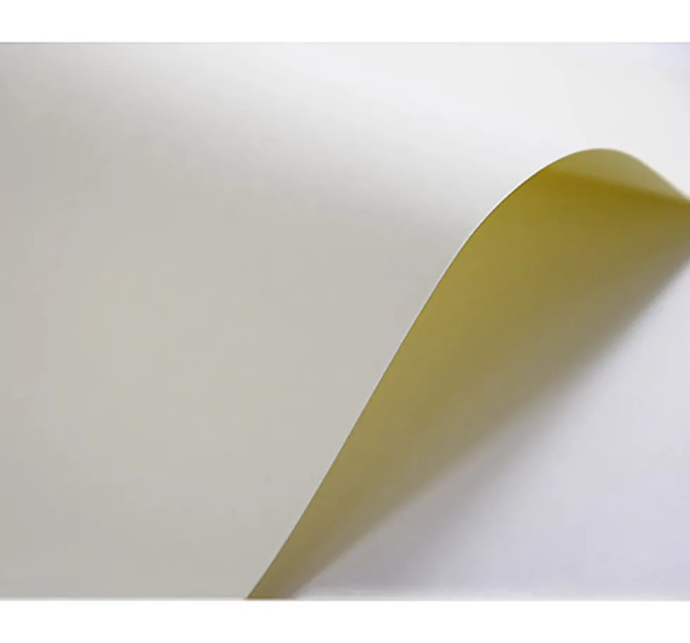 Papier Elfenbens 246g - Gładki (008), kremowy, A5, 100 ark.
