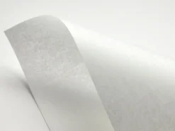 Papier Pergamenata 230g - Bianco biały A4