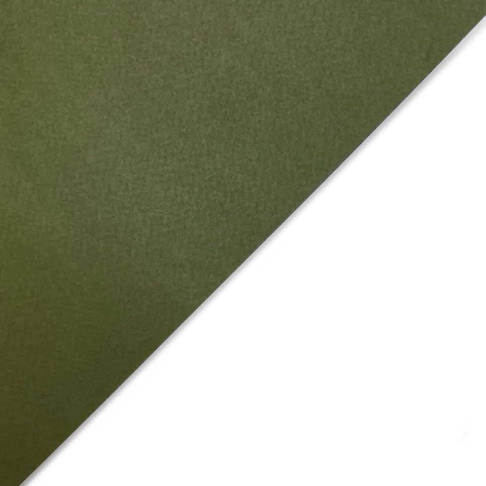 Papier Tintoretto Ceylon 250g - Wasabi oliwkowy A4