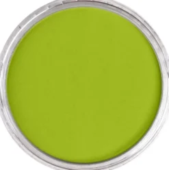 Pastela sucha PanPastel - 680.5 Bright Yellow Green