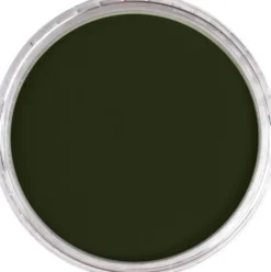 Pastela sucha PanPastel - 660.3 Chromium Oxide Green Shade