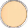 Pastela sucha PanPastel - 280.8 Orange Tint