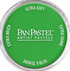 Pastela sucha PanPastel - 640.5 Permanent Green