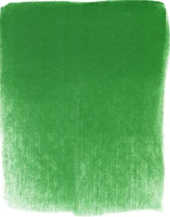 Pastela sucha PanPastel - 640.5 Permanent Green